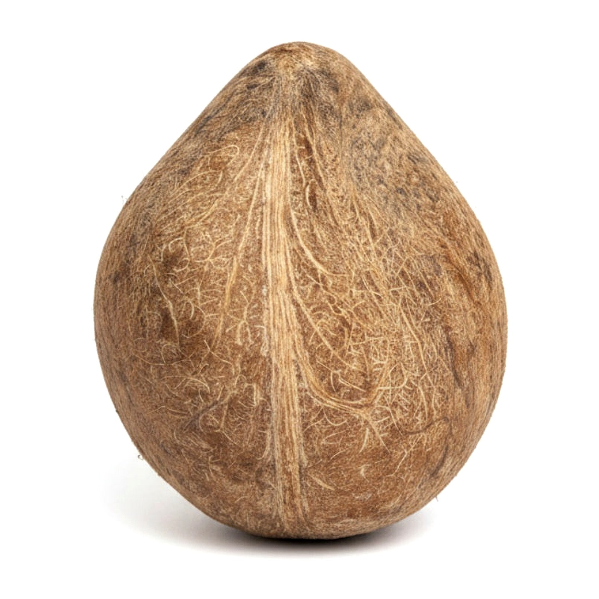 Dried Pooja Coconut - Cooking Essential & Kitchen Appliance - Buy Online at Thurga Grocery