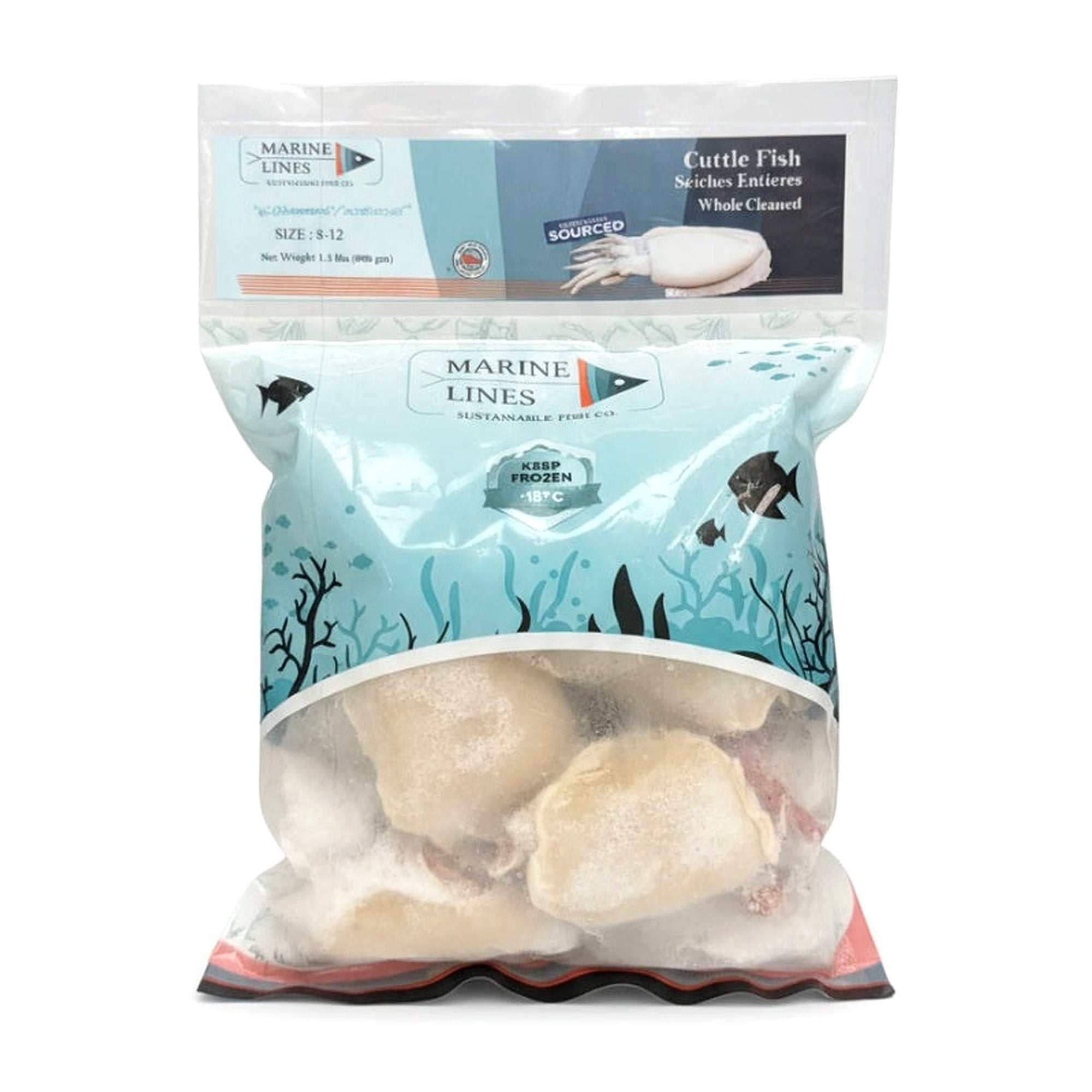 Marine Lines Cuttle Fish 1.5Lb - Frozen - Buy Online at Thurga Grocery