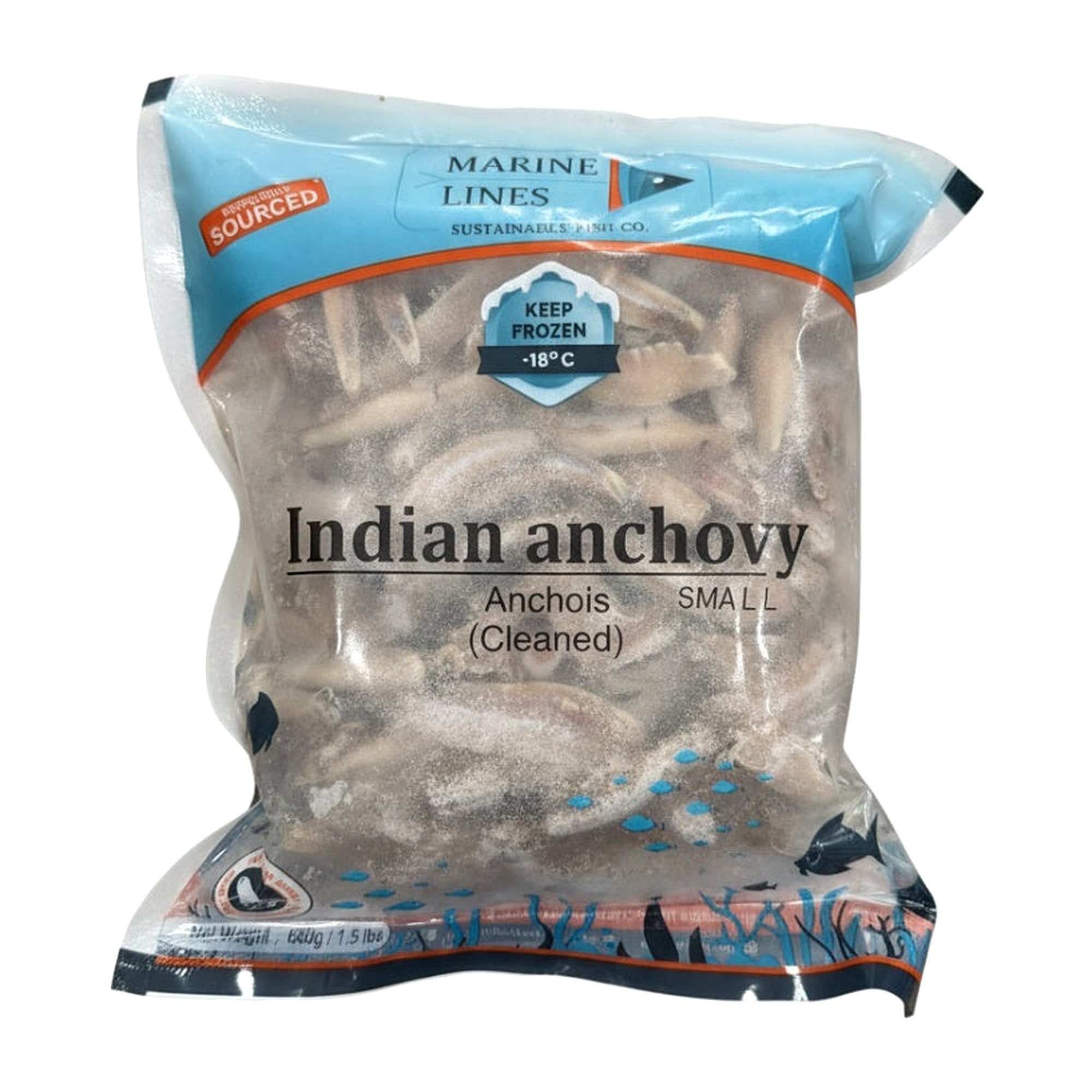 Marine Lines Indian Anchovy Cleaned (Small) 680G - Frozen - Buy Online at Thurga Grocery