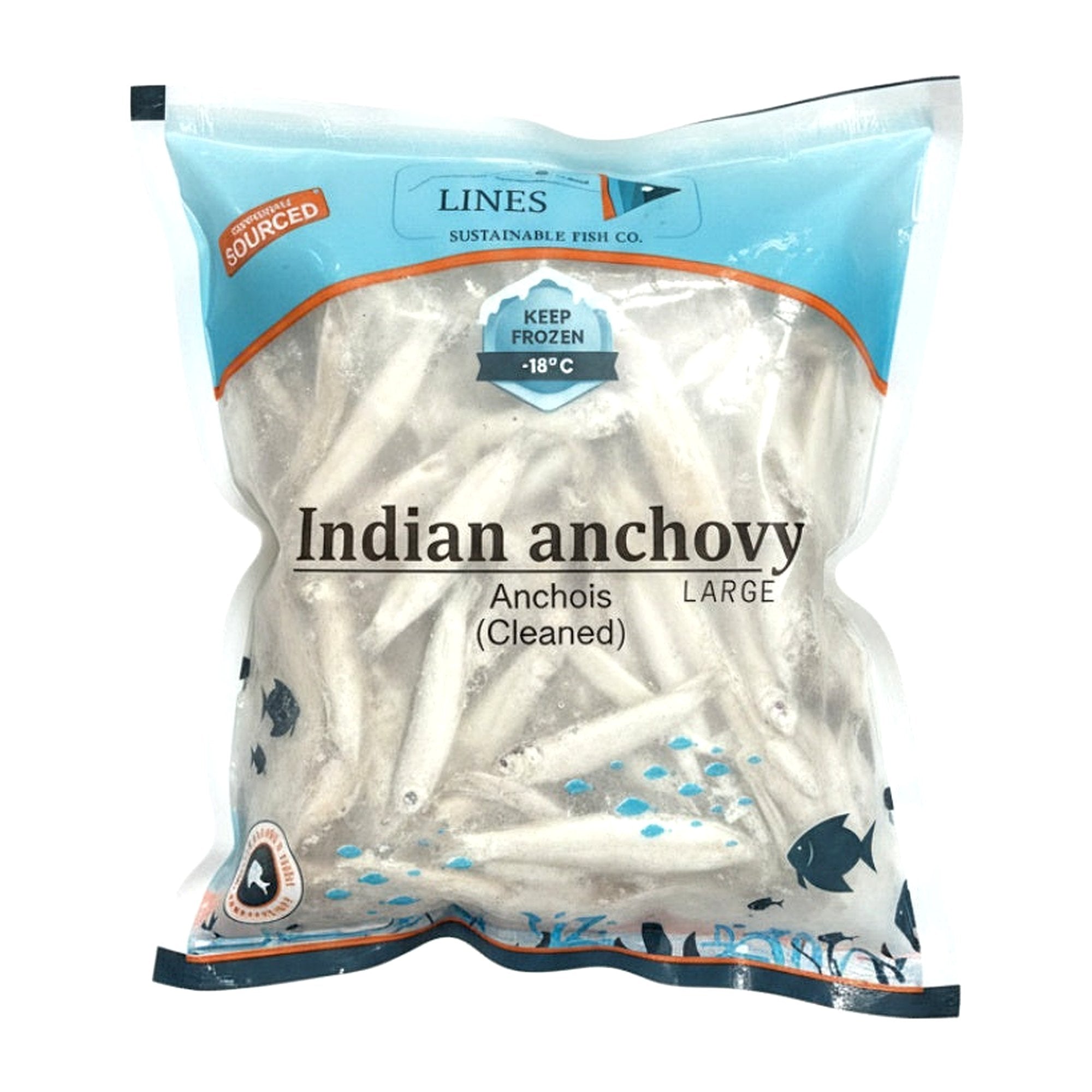 Marine Lines Indian Anchovy (Large) 1.5Lb - Frozen - Buy Online at Thurga Grocery