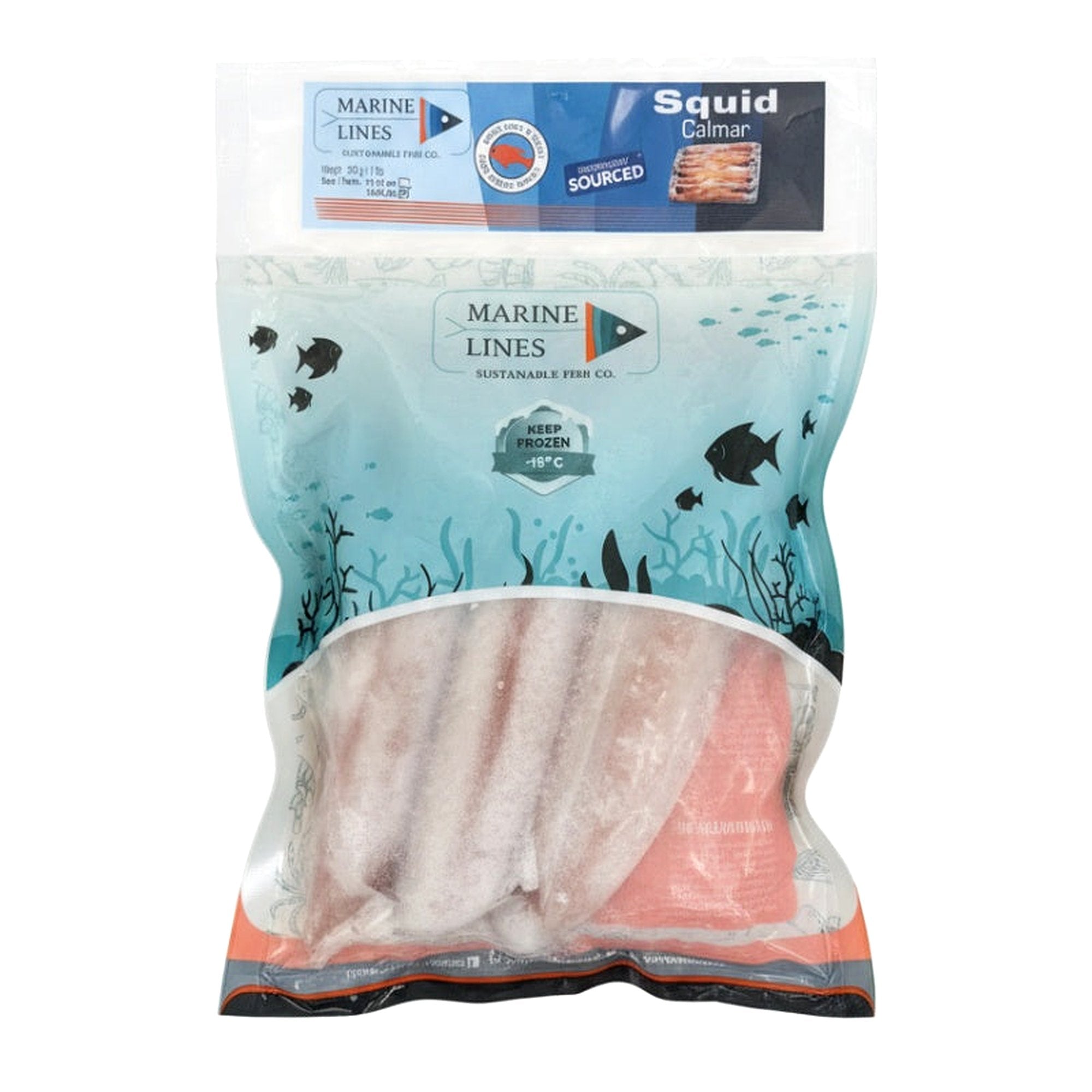 Marine Lines Squid 1Lb - Frozen - Buy Online at Thurga Grocery