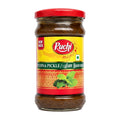 Ruchi Pudina Pickle 300G - Condiments & Pickles - Buy Online at Thurga Grocery