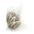 String Hopper Steamer Mold 2 - Cooking Essential & Kitchen Appliance - Buy Online at Thurga Grocery